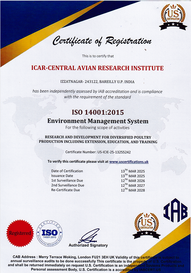 Research Innovation