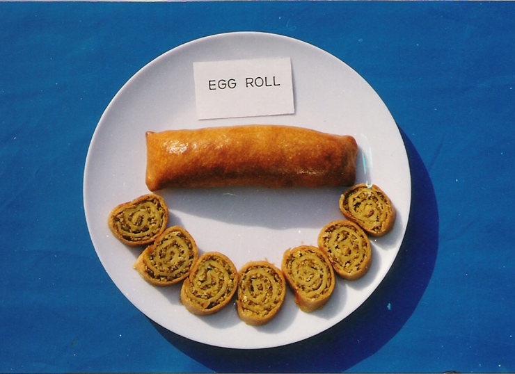 CARI Egg Roll
