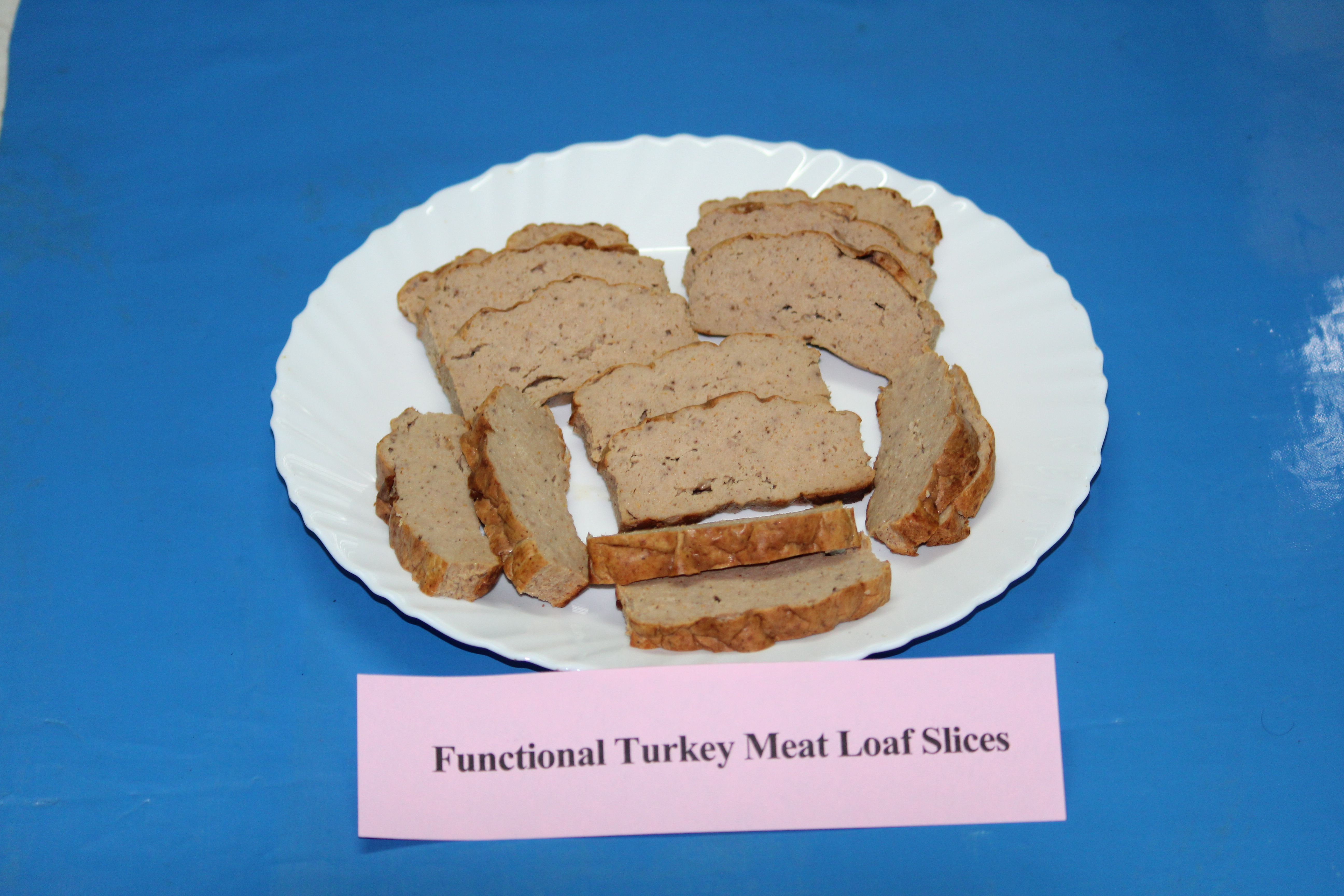 CARI Functional Turkey Meat Loaf