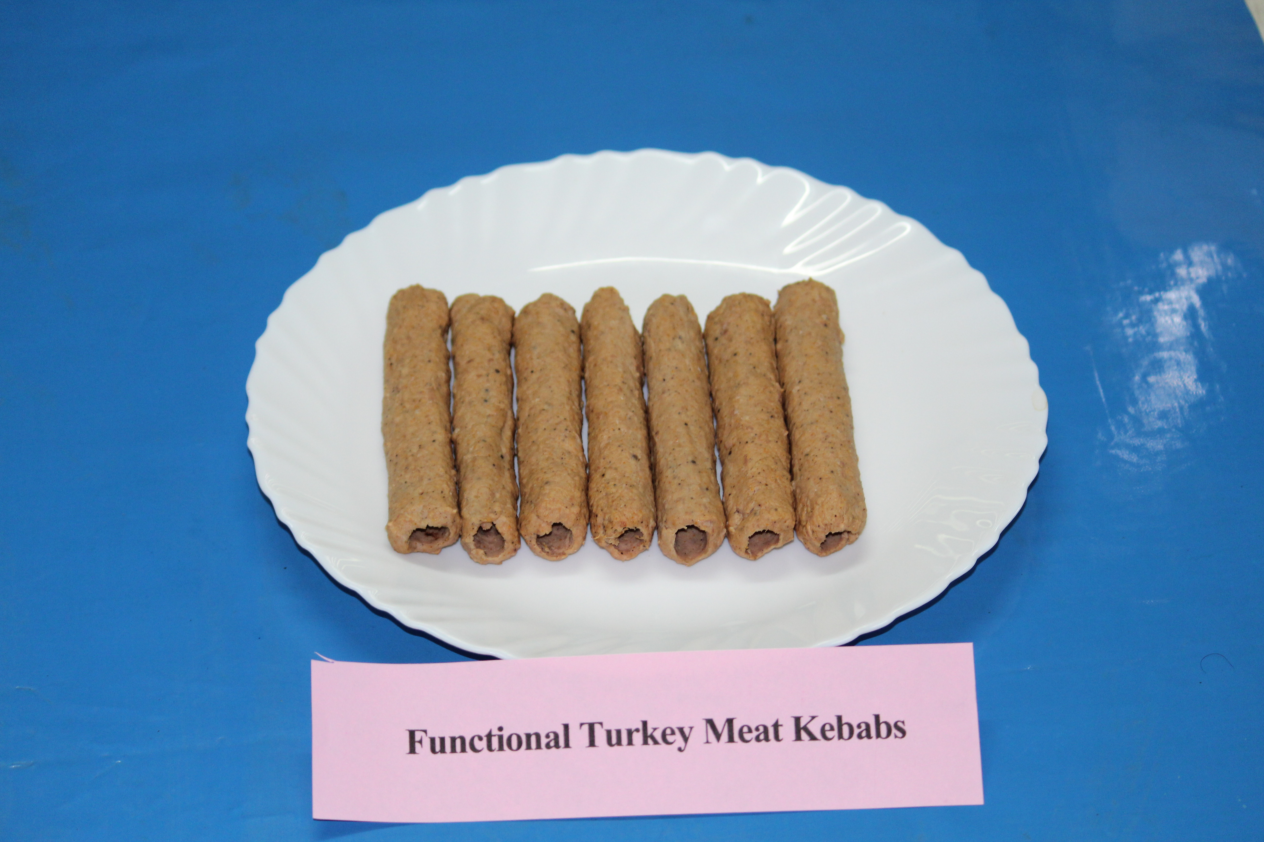 CARI Functional Turkey Meat Kebabs