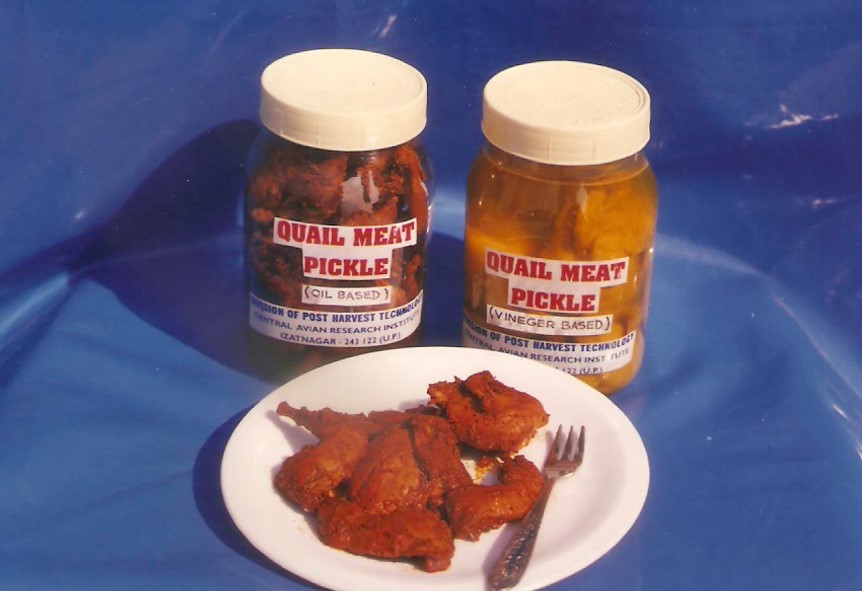 CARI Quail Meat Pickle
