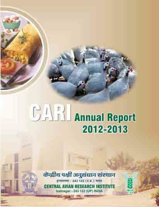 Annual Report 2012-13