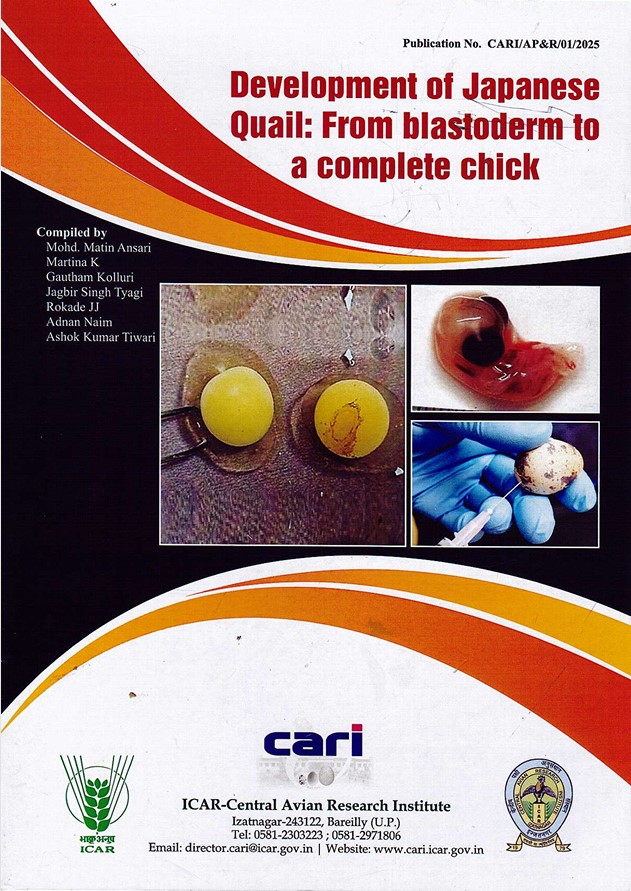Development of Japanese Quail: From blastoderm to a complete chick