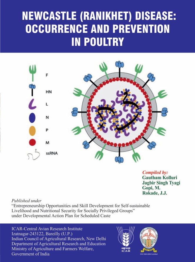 Newcastle (Ranikhet) Disease: Occurrence & Prevention in Poultry