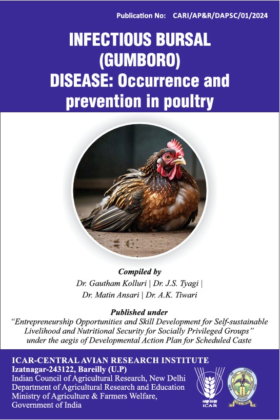 Infectious Bursal (Gumboro) Disease: Occurrence & Prevention in Poultry