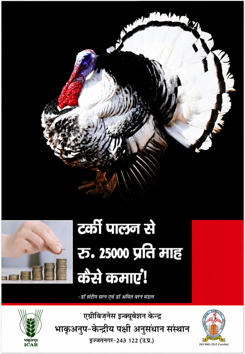 Turkey Farming Opportunity in India
