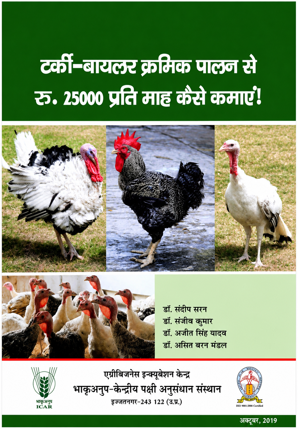 टर्की-ब्रायलर क्रमिक पालन से रु. 25000 प्रति माह कैसे कमाएं!