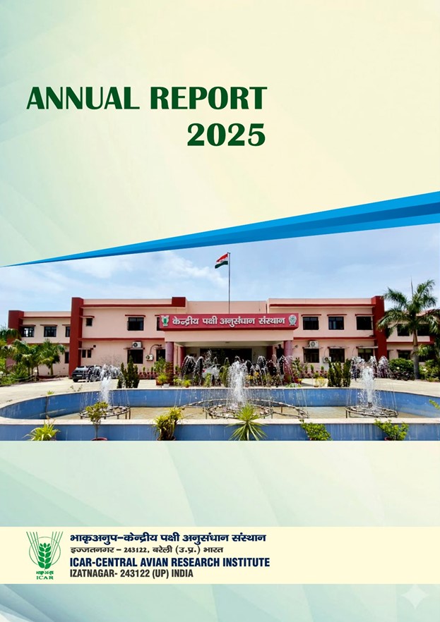 Annual Report 2025
