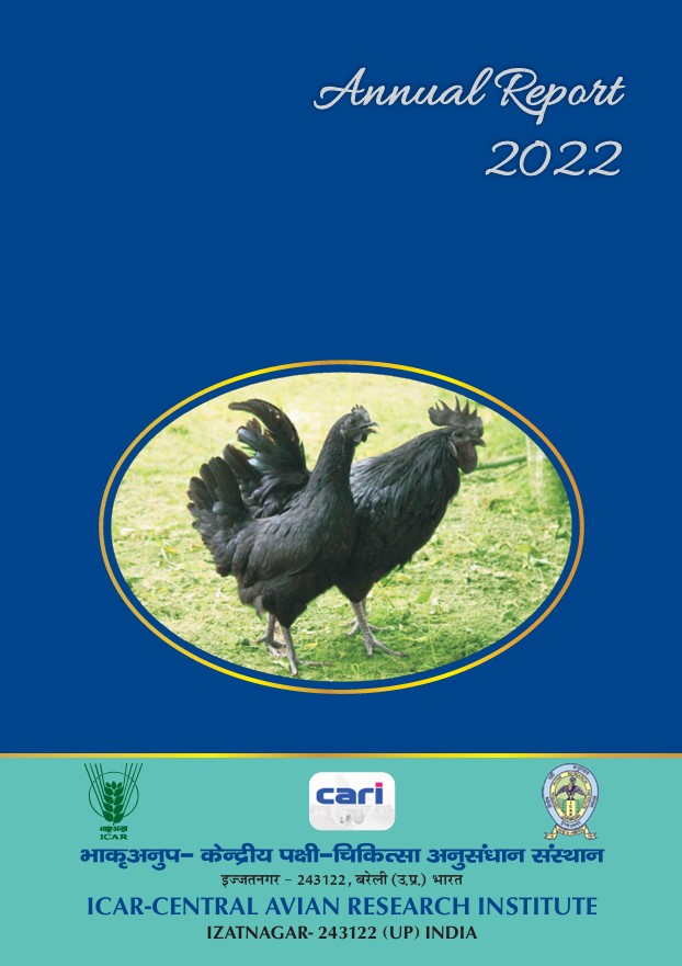 Annual Report 2022